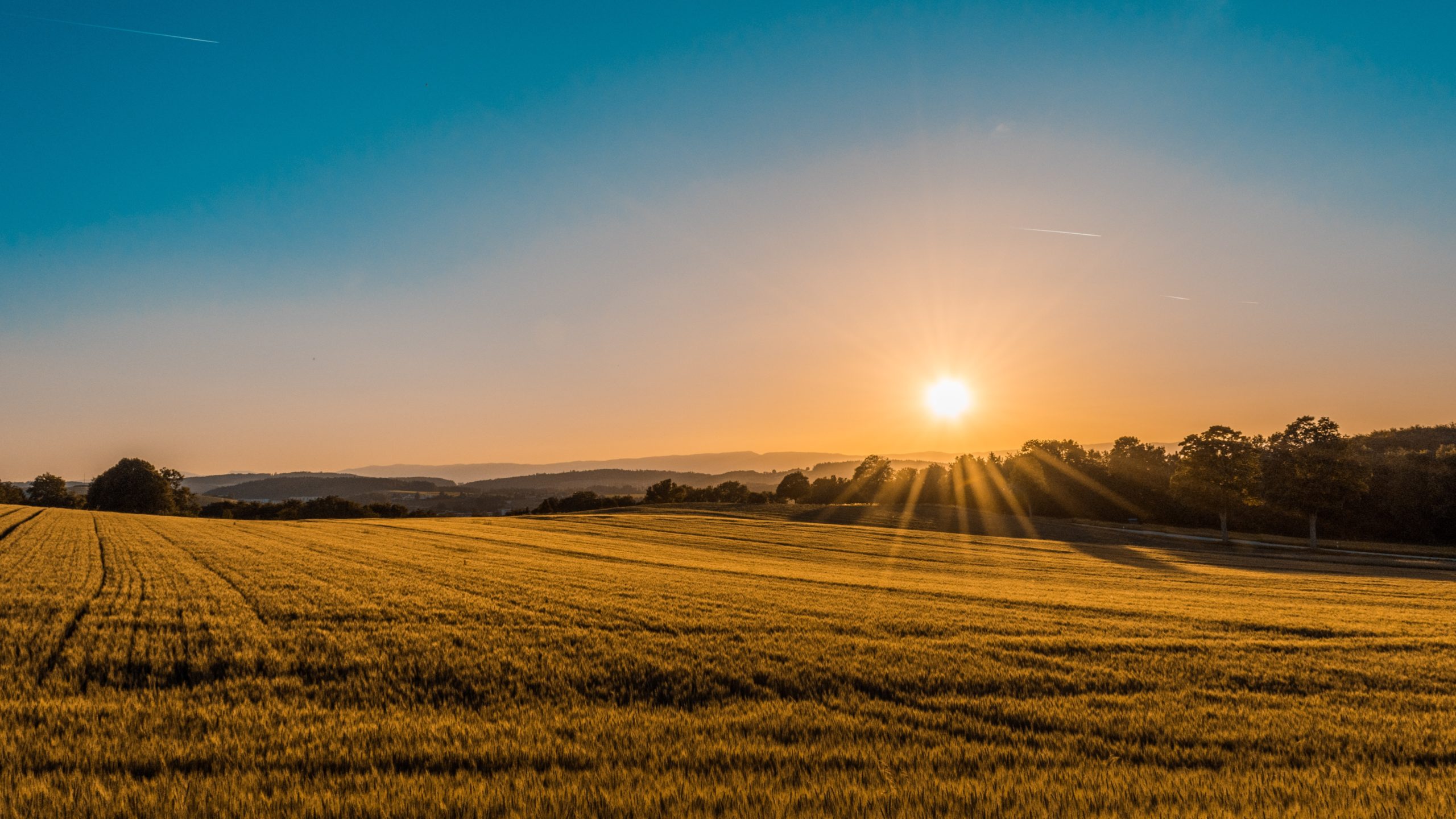 How To Sell Land in 5 Easy Steps