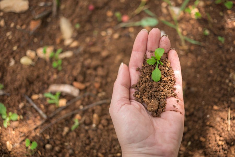 Everything You Should Know Before Buying Your Ideal Agricultural Land