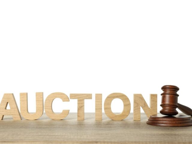 How to Sell Your Land at Auction for Maximum Profit