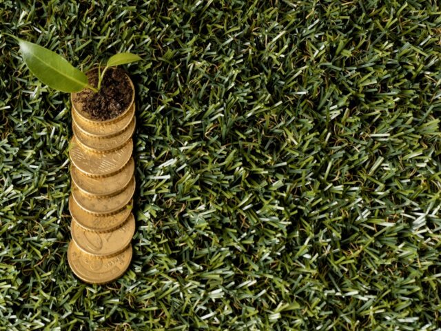 Turn Your Land into Gold: Get Top Dollar from Real Estate Investors